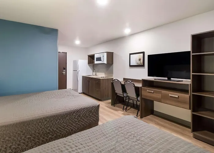 Woodspring Chandler